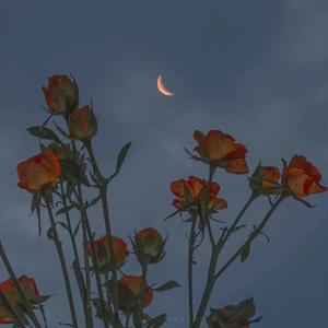 男同成人激烈视频
