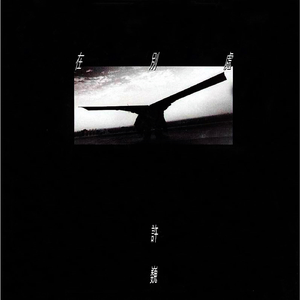 男同成人激烈视频
